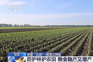 德甲-四轮不胜！多特1-1美因茨距前四4分 布兰特任意球萨比策中楣